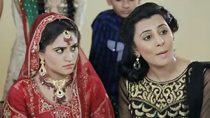 Women Development Department Govt Of punjab