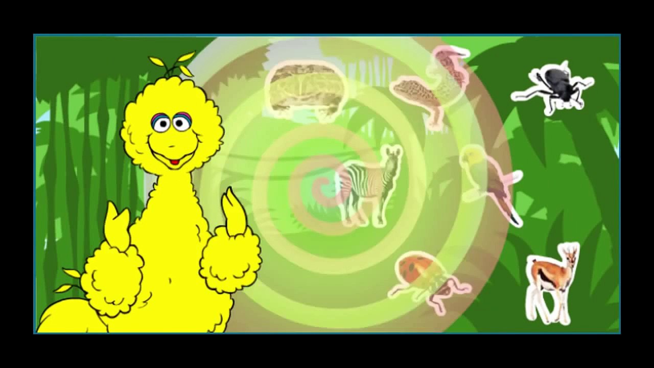 Sesame Street Journey To Ernie Cartoon Animation PBS Kids Game Play Walkthrough