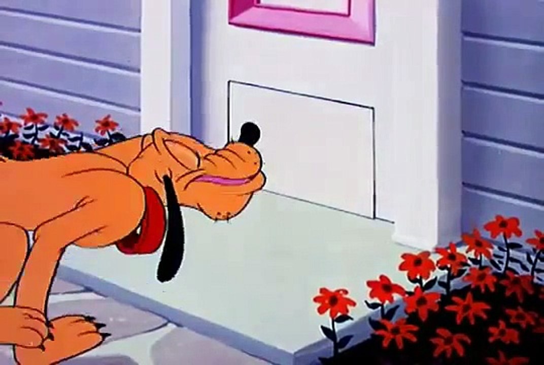 Donald Duck - Mickey Mouse & Chip and Dale New Cartoon p3