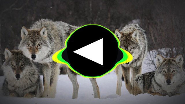 [Dubstep] A House of Wolves - Canzone D'amore (Feat. Cutthroat) (Original Mix) [Refined Records Release]