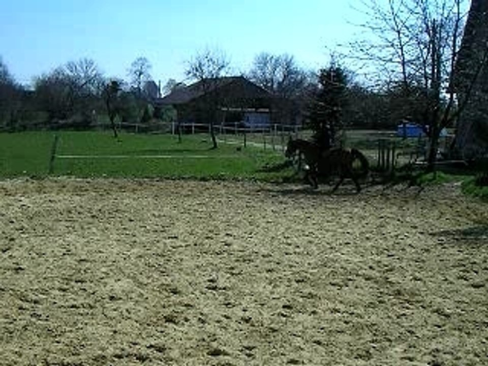 fafner o galop