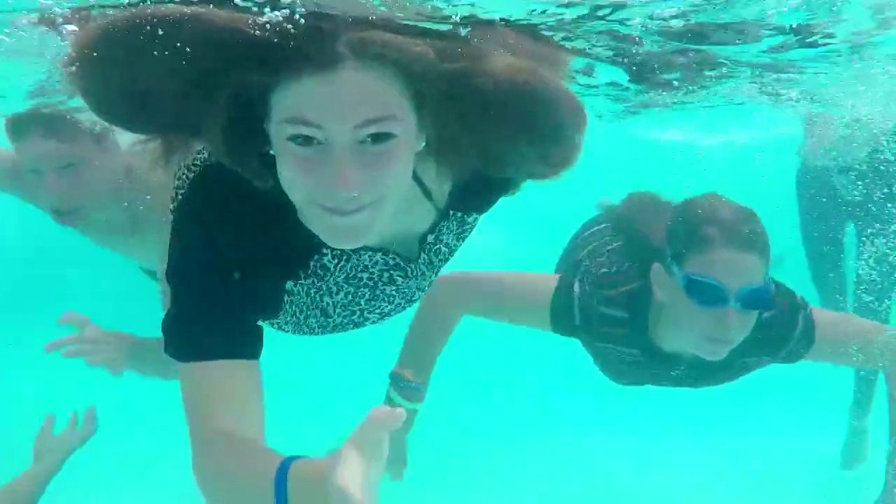 Le roi et l'oiseau (extrait)