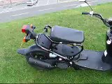 A scoot around town on my Honda Zoomer