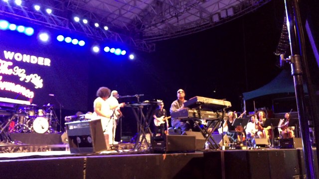 Stevie Wonder Another Star