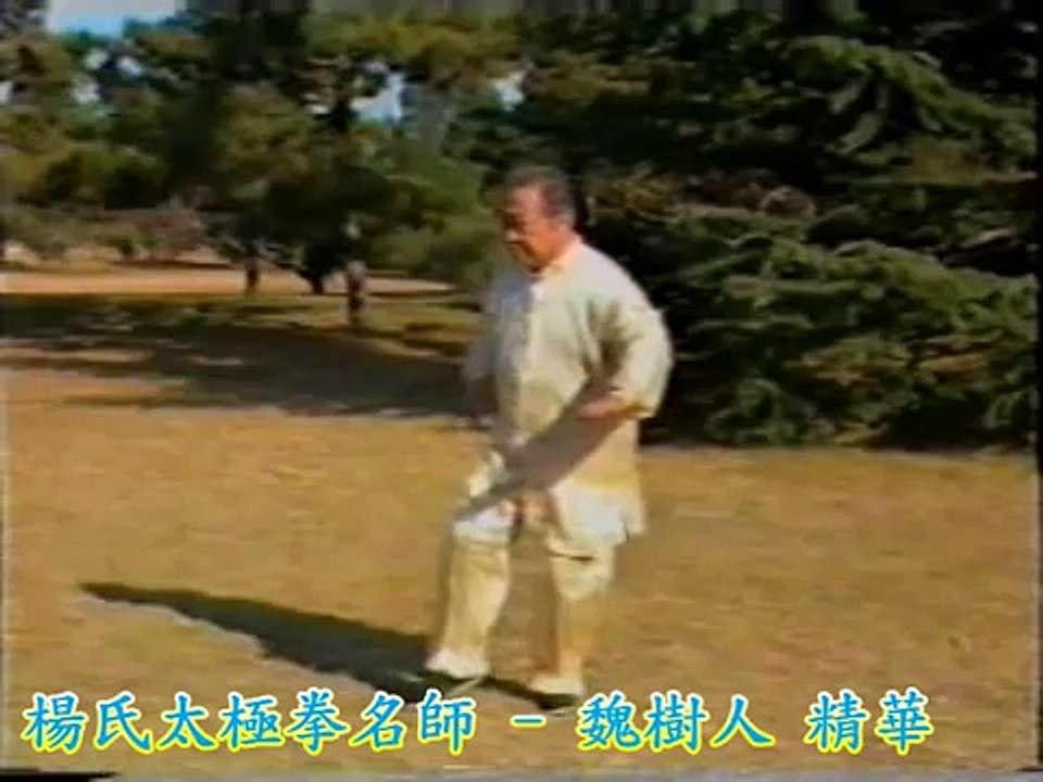 Taiji Grandmaster - Wei Shuren : Highlights