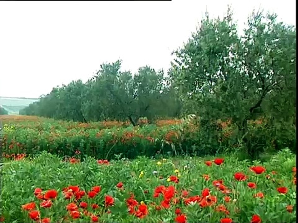 Soufia Sadok chante la Tunisie