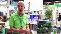 Bucephalandra INTERVIEW mit Stefan Hummel /// AUF DER INTERZOO 2014