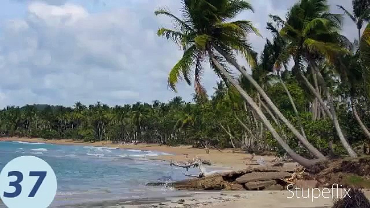 With Haiti in mind! "Lanmou Doudou"