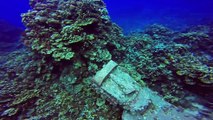 UNDERWATER MOAI - SCUBA DIVING