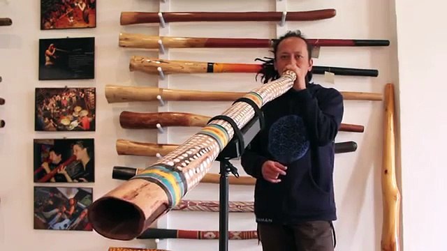 Ellswood Didge C (No.2202)