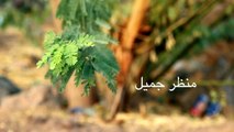 فلنحافظ على البيئة -فلم قصير Short Film