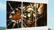 Picture Bioshock 3 pezzi tela (Dimensione: 120x80 cm) stampa artistica di elevata