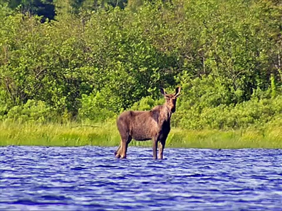 Baker Lake, Maine