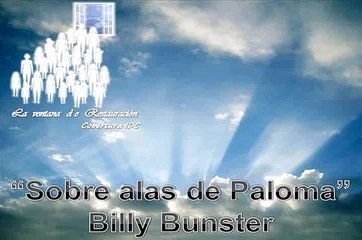 Sobre alas de paloma