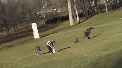 Орел похитил ребенка