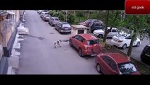 Dog stray in Russia crash the fender Toyota Rav4   POWERFUL  DOG STRAY   كلاب متشردة تحطم سيارة