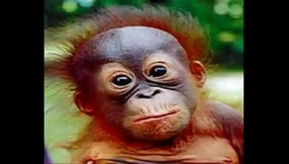 el reggaeton y las putas que lo bailan