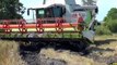 Lettland Schlammernte 2011: Claas Lexion 560, Fendt 930 & 936, Hawe, ...