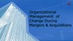 Organizational Management of Change During Mergers & Acquisitions