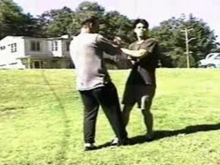 techniques de wing chun(Siu Nim Tau)3/3