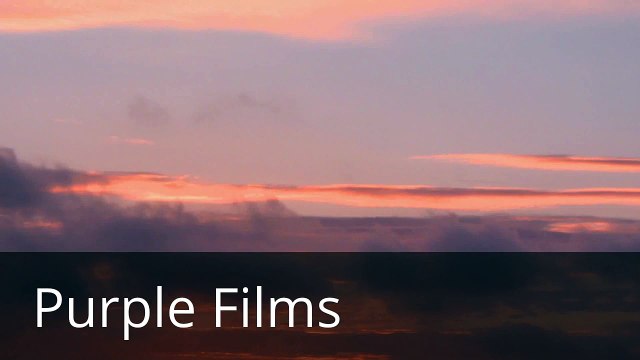 Purple Films/Sensation Animation/Cartoon Network Studios/Cartoon Network