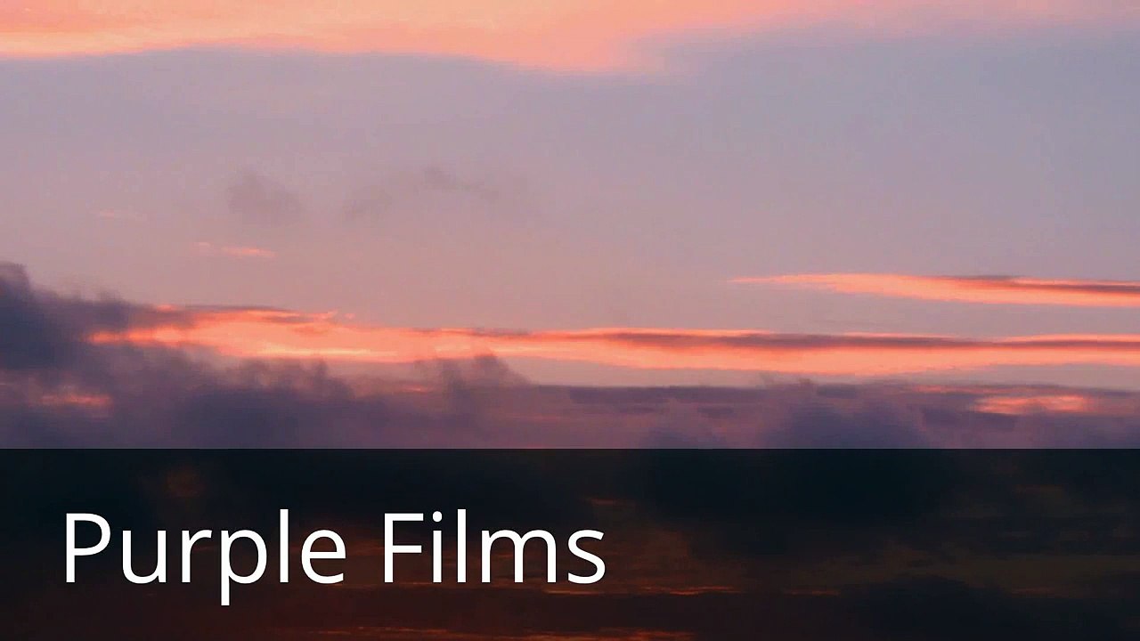 Purple Films/Sensation Animation/Cartoon Network Studios/Cartoon Network