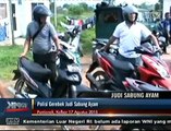 Berkedok Perayaan HUT RI, Judi Sabung Ayam Digerebek Polisi