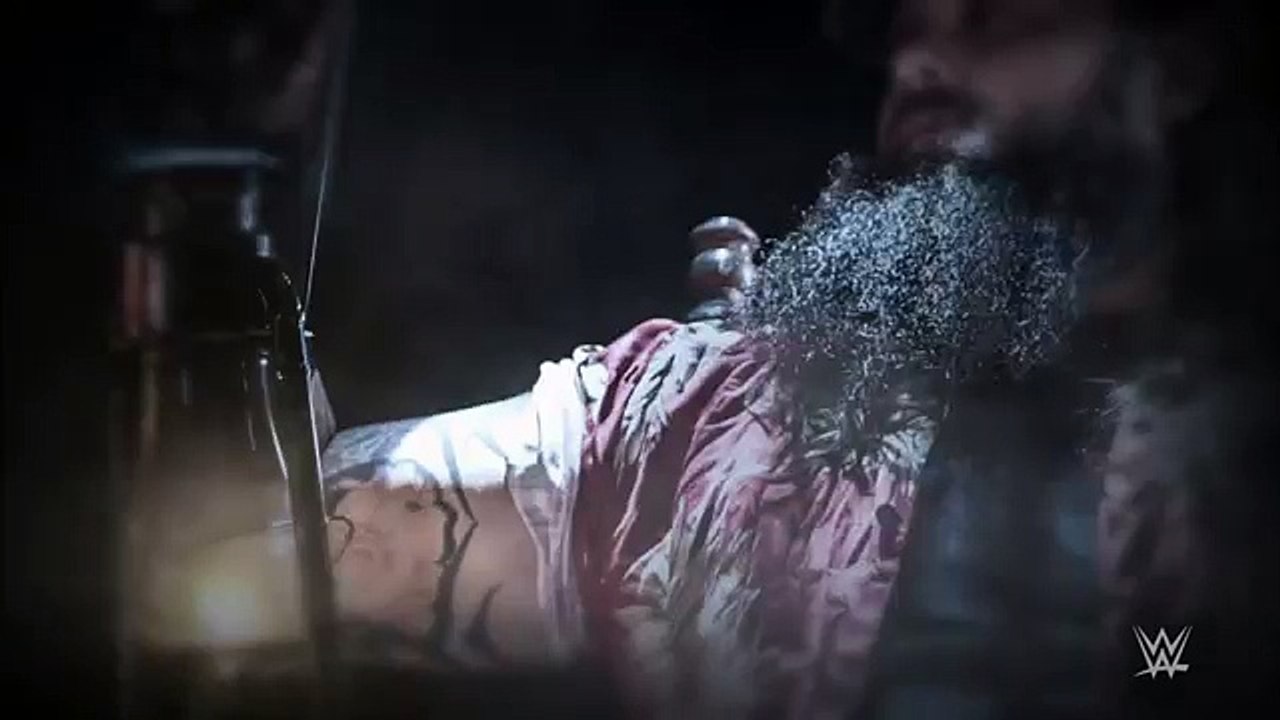 WWE SummerSlam 2015 THIS SUNDAY, Live on WWE Network On Fantastic Videos