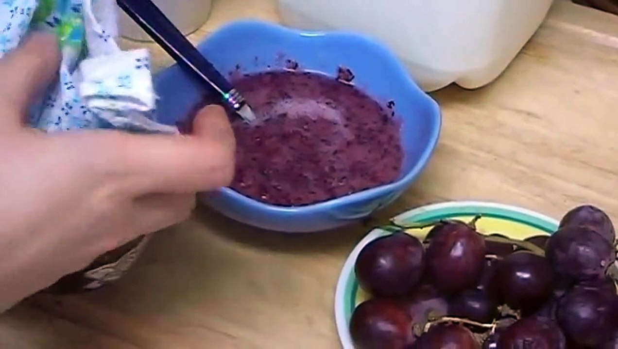 How to Make Natural Moisturizing Homemade Grape & Milk Face Toner for Skin Care