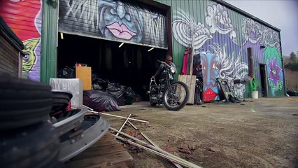 Dragon Optical - Jamie Lynns Sanctuary