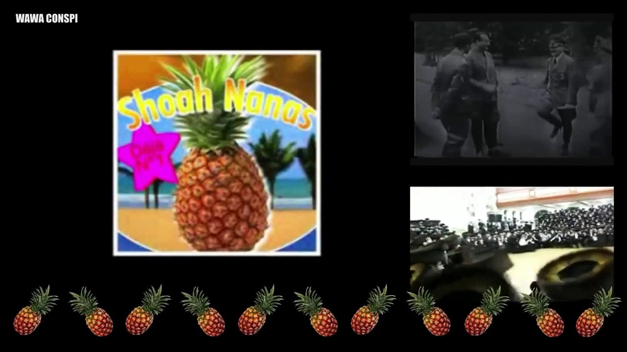 Dieudonné et Maître Mullet - Shoahnanas le clip vidéo