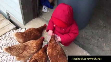 First time feeding the chickens takes a little bit of coordination