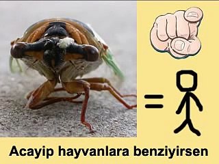 ACAYİP HAYVANLARA BENZİYİRSEN (ERCAN YILDIRIM)