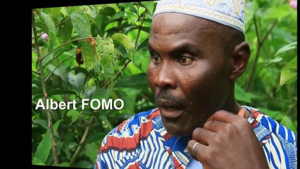 Les ways du pays - Les problèmes