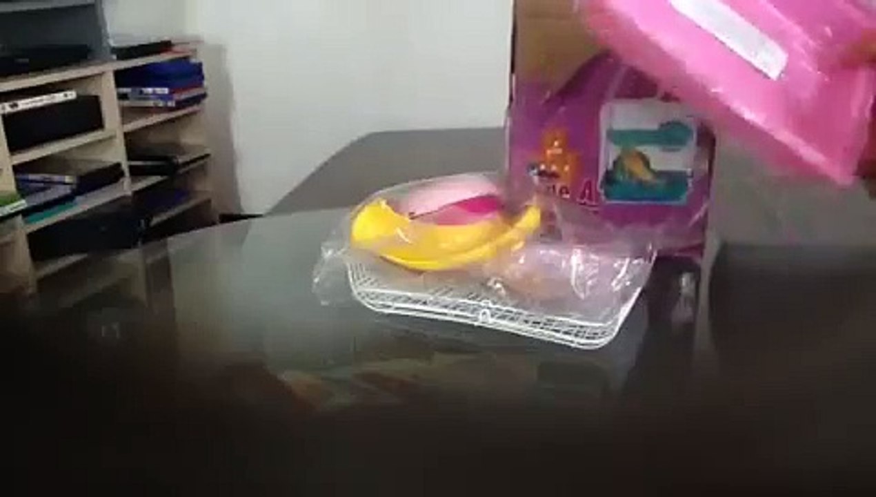 La maltraitance du hamster