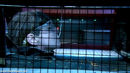 Fort Boyard 2015 : extrait de Luce dans la Tête chercheuse (émission du 21 août 2015)