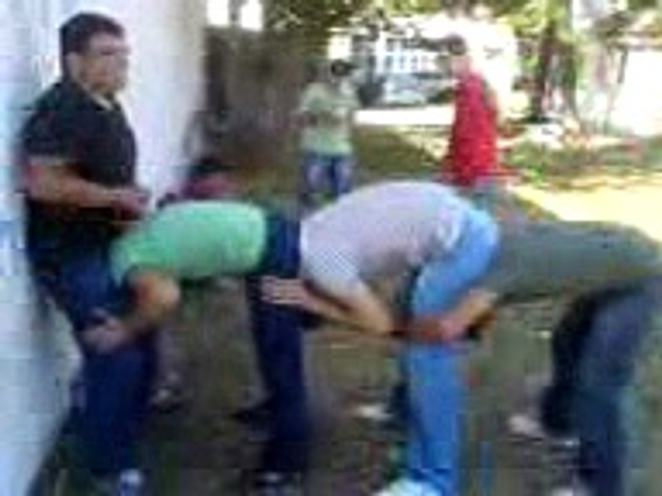 Sapci lisesi uzun esek