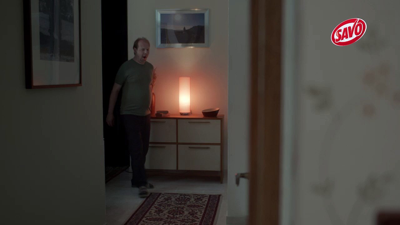 Savo spot - WC čističe