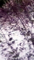 Ou comment ne pas tirer avec un fusil à canon scié