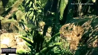 Sniper Ghost Warior 2 TRAILER (Video Game)