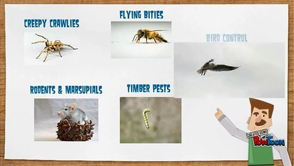 Fantastic Pest Control Melbourne 03 8400 4662