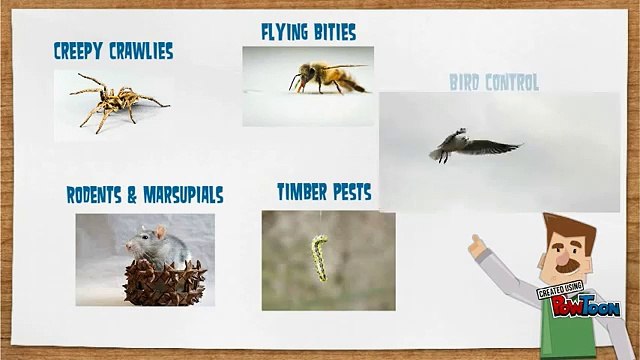 Fantastic Pest Control Melbourne 03 8400 4662