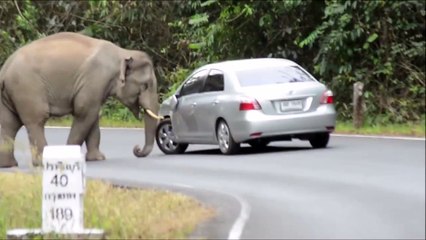 Filin Saldırısına Uğrayan Sürücünün Zor Anları