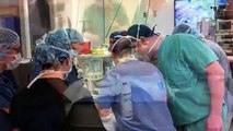 PennVet Minimally Invasive Surgery