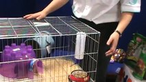 Cómo construir el hábitat de un conejo: Consejos de veterinarios de  KOTA (Tiendas Maskota)
