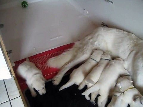 A table les petits... quelle bousculade !!!!