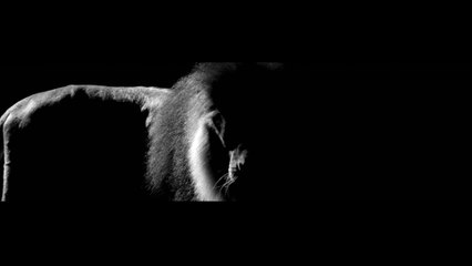 The Lion - Inside CHANEL