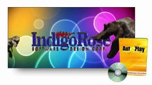IndigoRose AutoPlay Media Studio