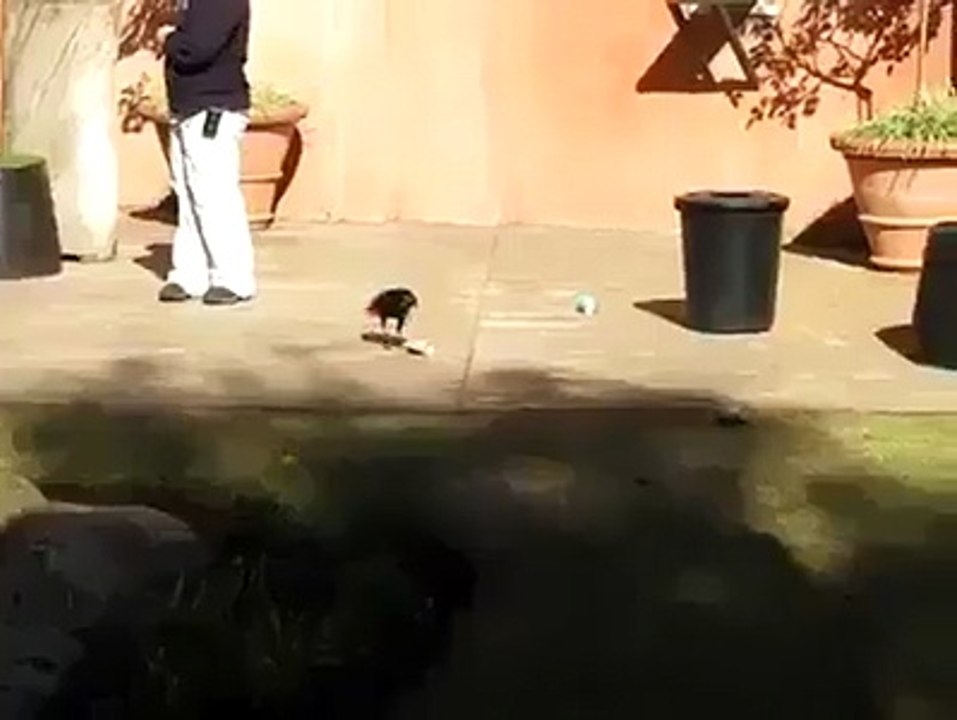 Hit and best
