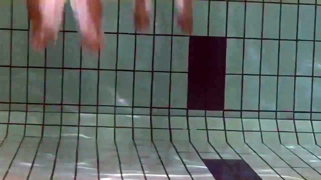 Priyanka Chopra Sexy Swimsuit